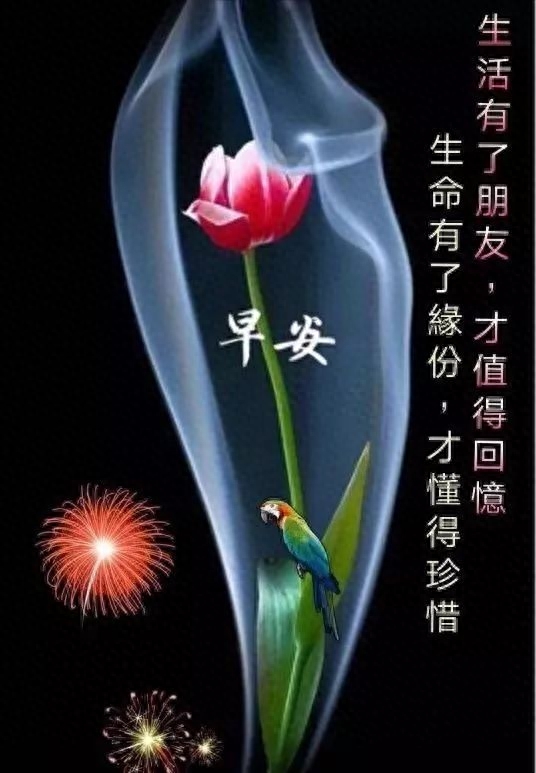 最新早上好微信暖心问候语录句子，周日早安，晴来欣赏、雨来赞扬(图7)