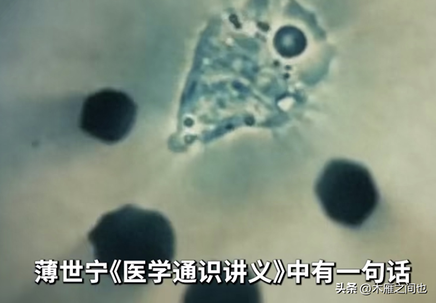 做人要晓得事理对不对(图65)