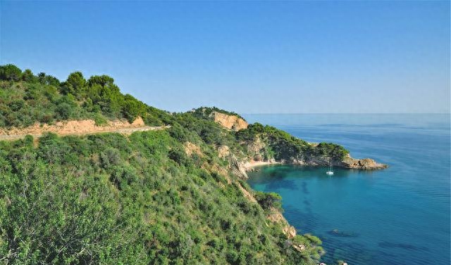 心灵鸡汤的句子，简单快乐的态度，深沉又暖心！(图2)