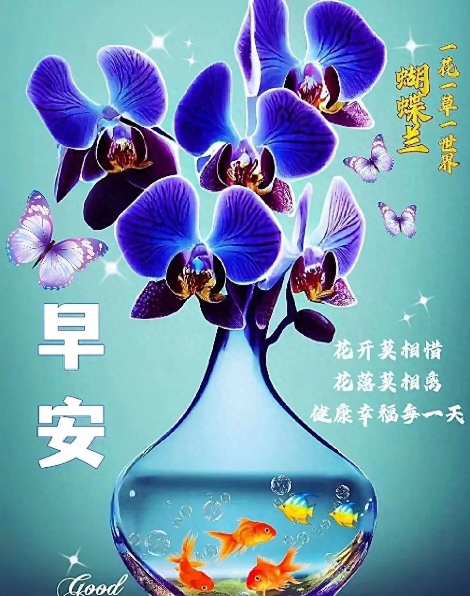 朋友，早安，愿你心情无比灿烂，生活舒心无忧烦！(图7)