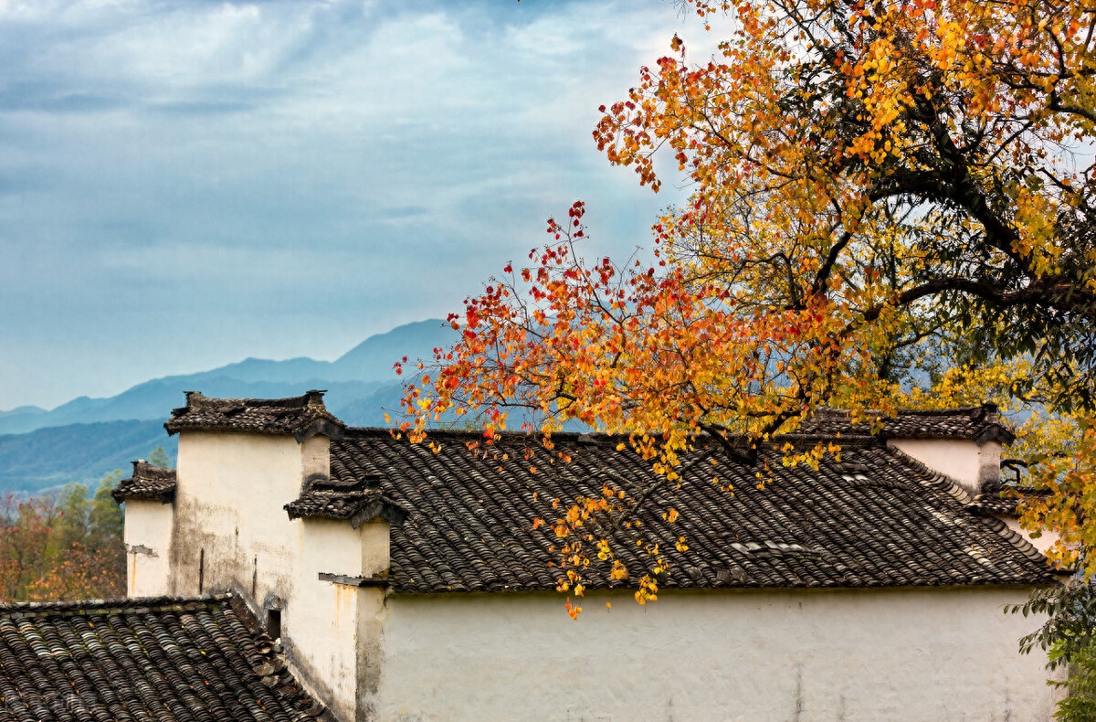 风景如画的唯美句子（晒风景的温柔治愈系句子）(图2)