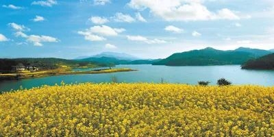 作文不会写景？这些人民日报的语句教会你(图3)