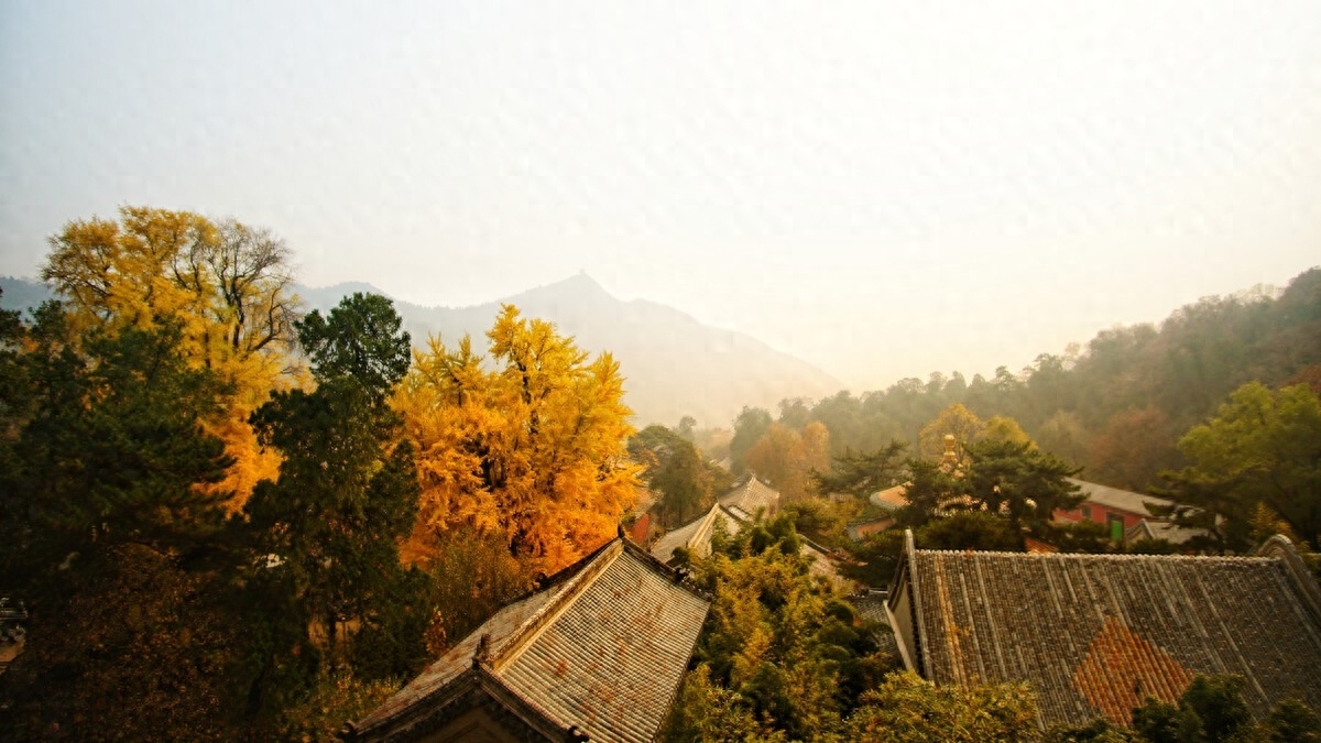 幸福的秘密，寺庙里的上香祈福有哪些奇妙之处？(图3)