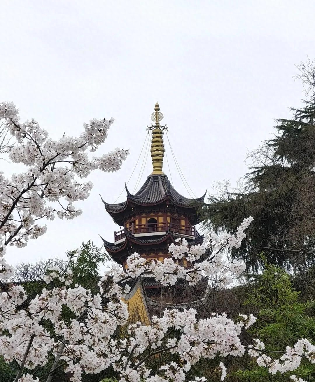 一方净土，三柱清香，一切从欢(图4)