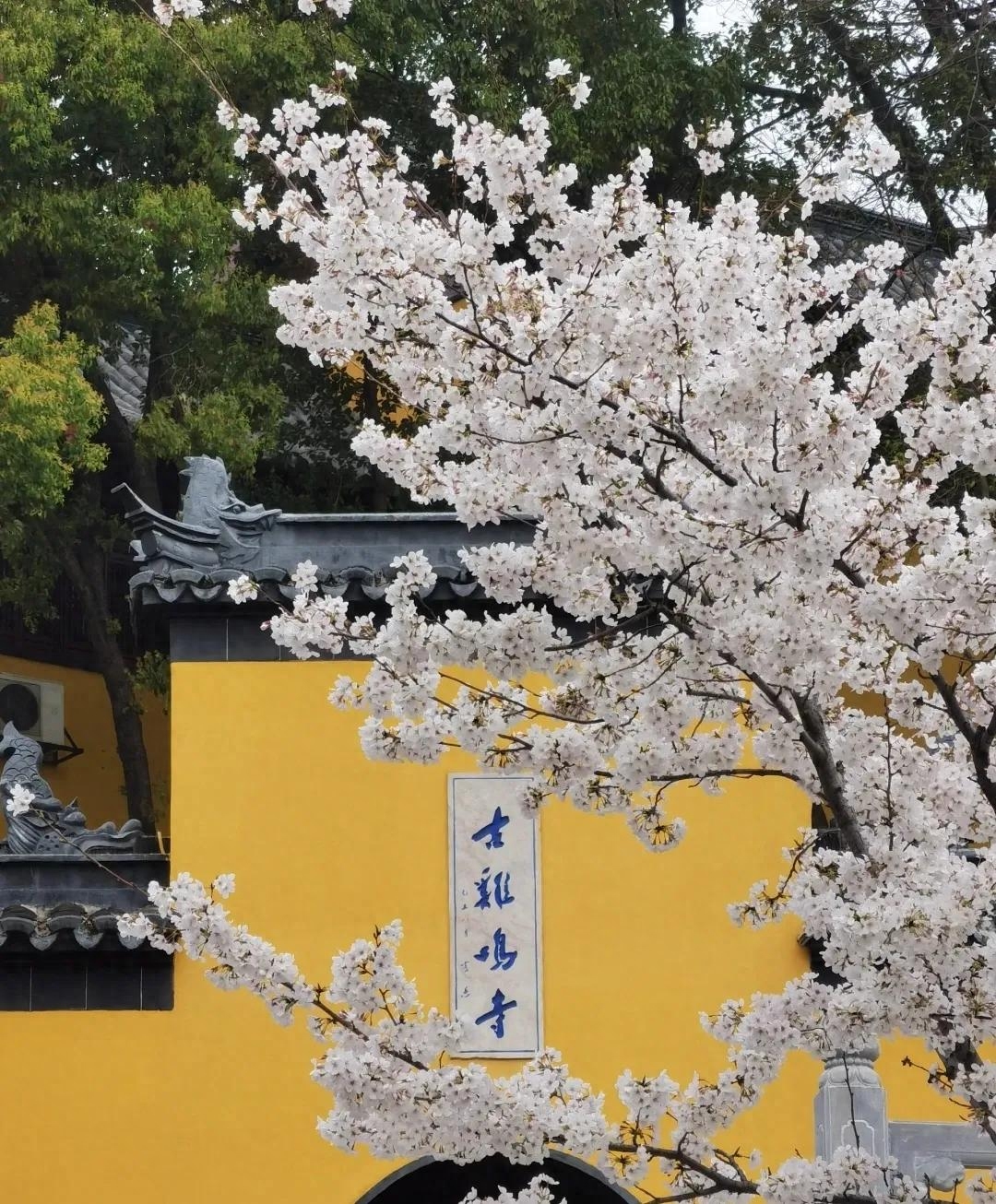 一方净土，三柱清香，一切从欢(图5)