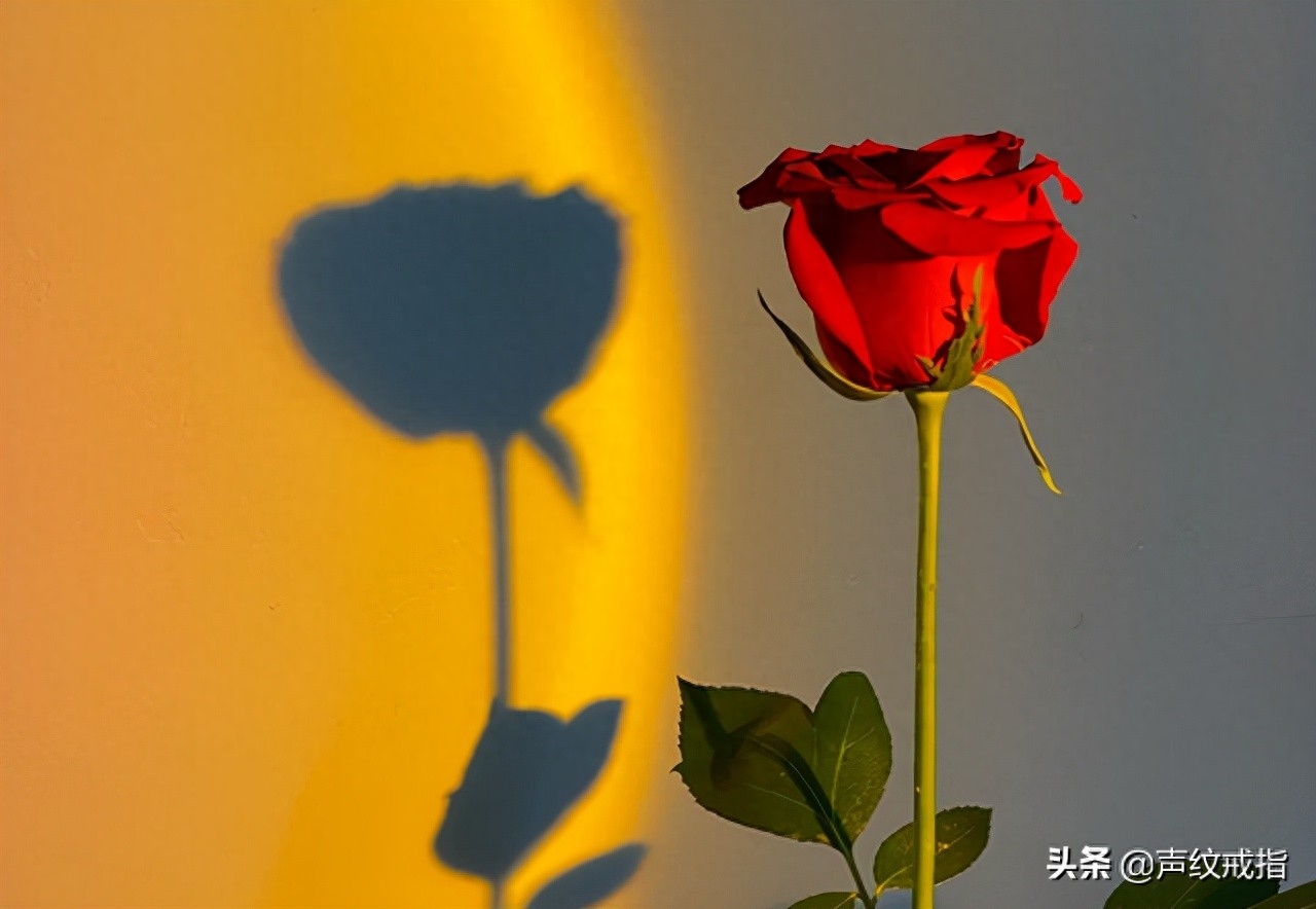 落日归山海，陪伴成告白——爱情文案(图4)