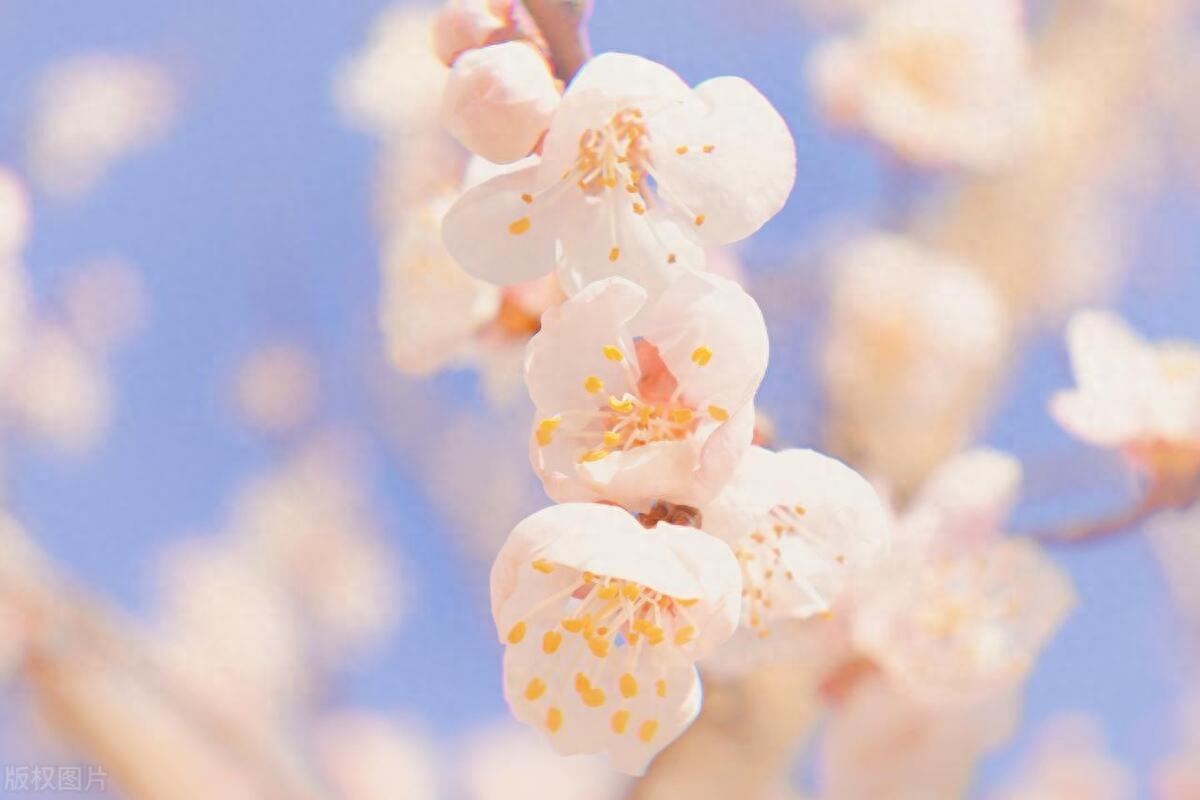 高情商的神级文案：生活或许会有遗憾，希望未来依旧美好(图2)