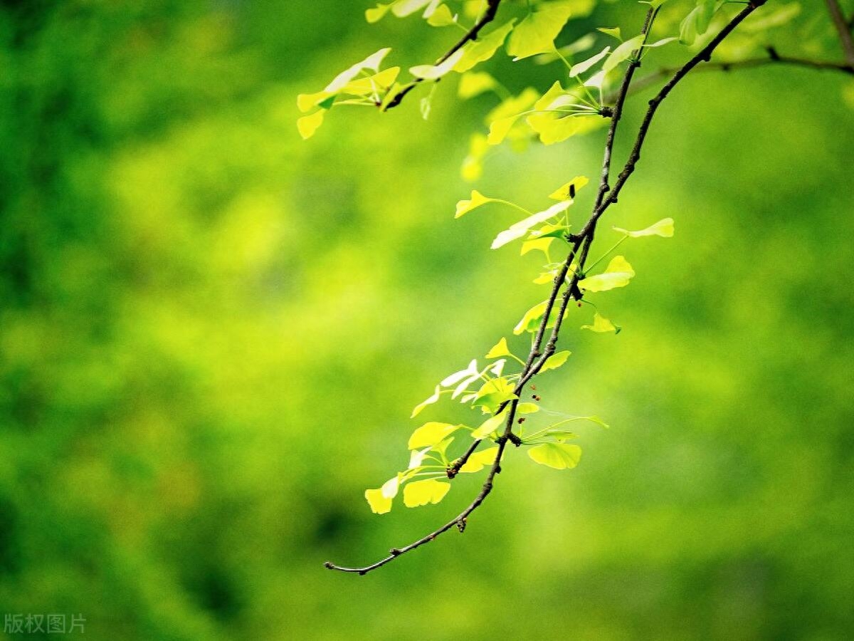 高情商的神级文案：生活或许会有遗憾，希望未来依旧美好(图3)