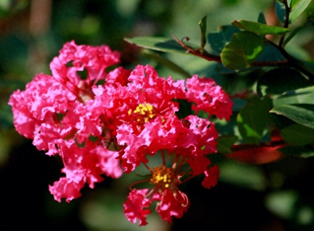 余生，心怀希望，遇见皆是美好，愿我们余生，能够相伴到老(图4)