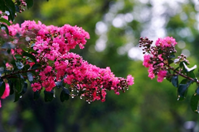 余生，心怀希望，遇见皆是美好，愿我们余生，能够相伴到老(图5)