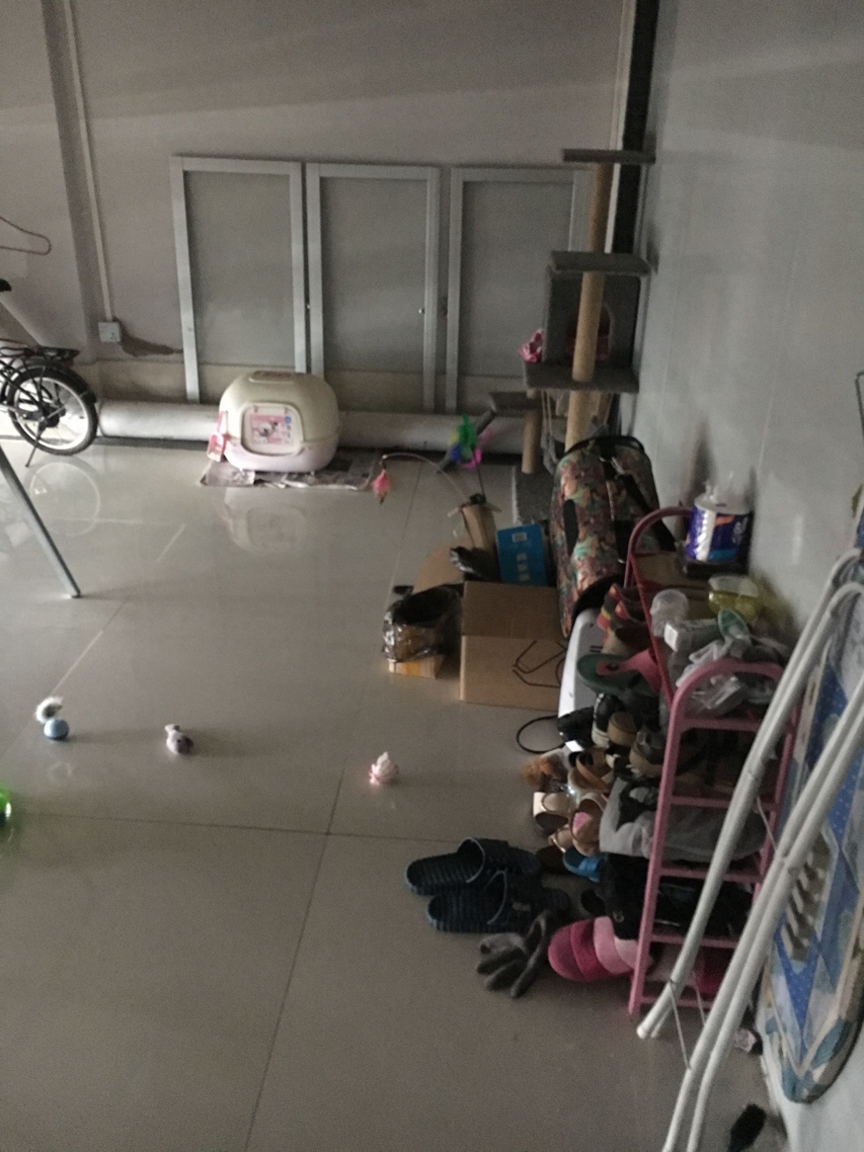 铲屎官也有春天!霸气猫君王后宫佳丽三千,却独宠我铲屎官一人哈(图1) 铲屎官也有春天!霸气猫君王后宫佳丽三千,却独宠我铲屎官一人哈(图1)