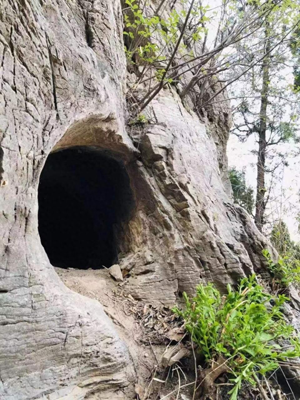 揭秘济南“白胡子老头”景观(图1)