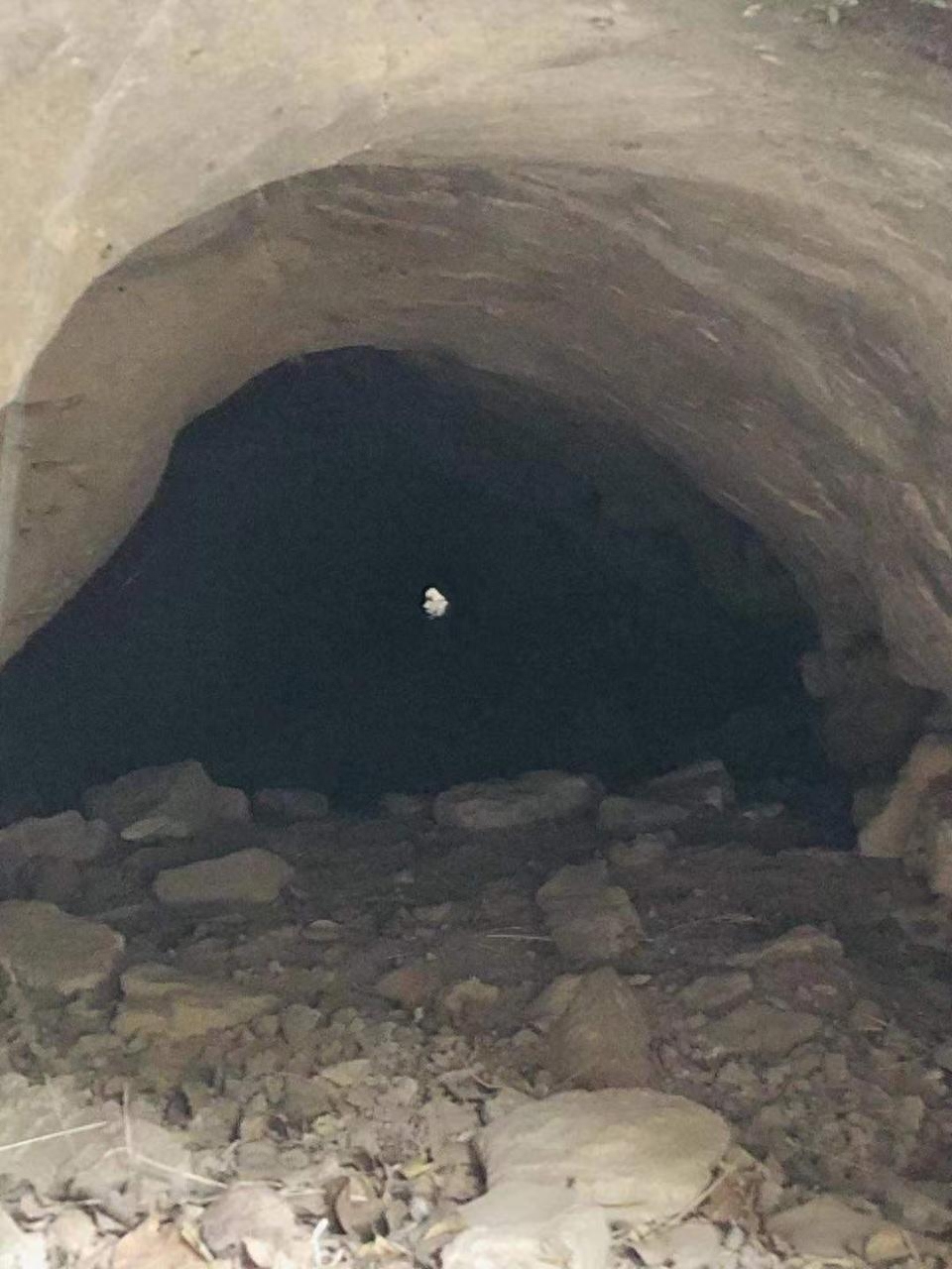 揭秘济南“白胡子老头”景观(图2)