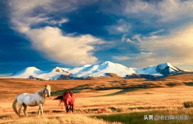 看人要看人品，知人要知心，最尊贵的不是金钱，而是最金贵的人品(图1)