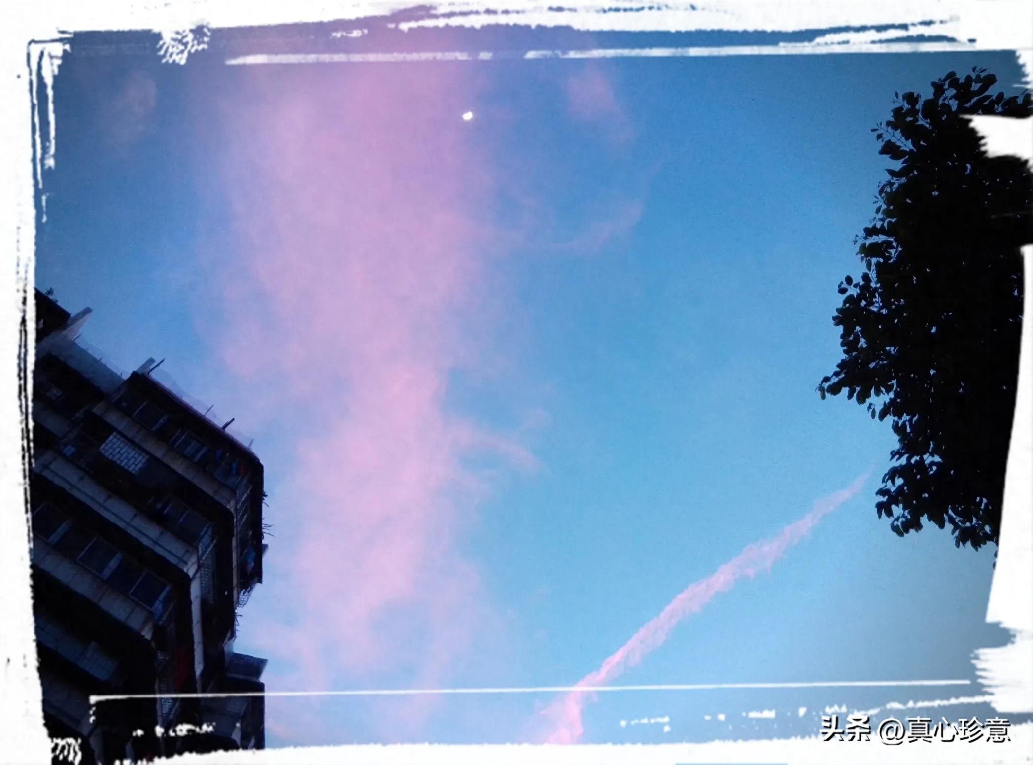 夏日的夜晚，夜色阑珊，已是万家灯火(图1)