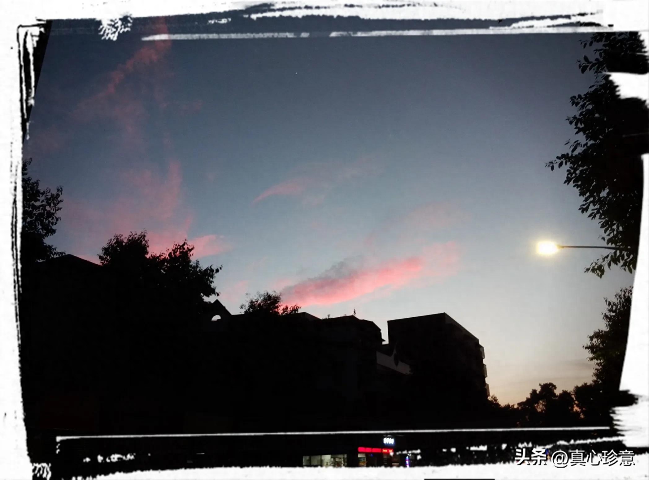 夏日的夜晚，夜色阑珊，已是万家灯火(图3)