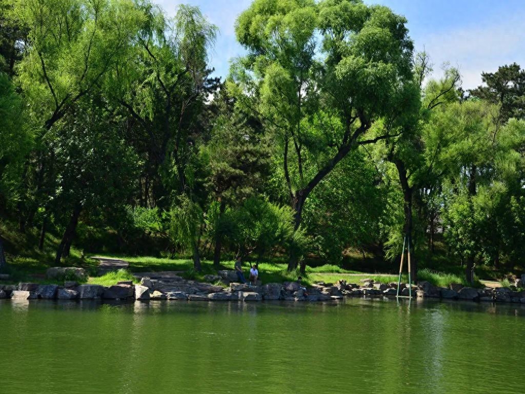 现代诗/微诗弄情（五首）(图1)