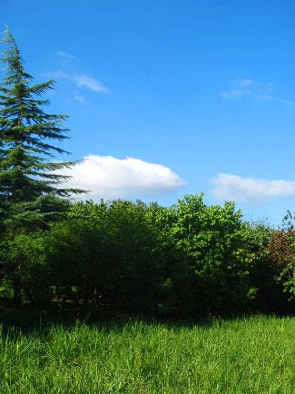 现代诗/微诗弄情（五首）(图2)