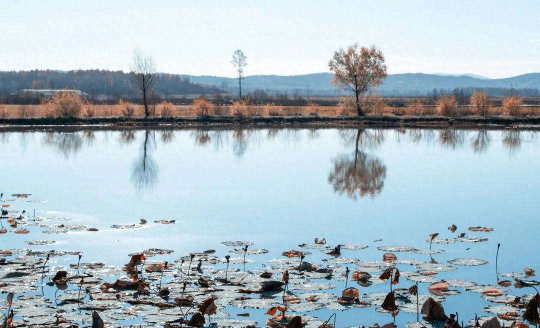 10篇美到骨子里的古文,把我的心治愈了100遍(图9)
