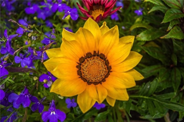 精辟走心的人生感悟句子，内涵深刻，读读学到很多(图5)