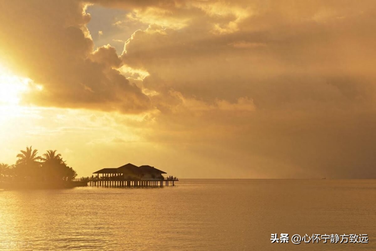 人这一生，对错不由心，聚散不由人，要学会与自己和解(图1)