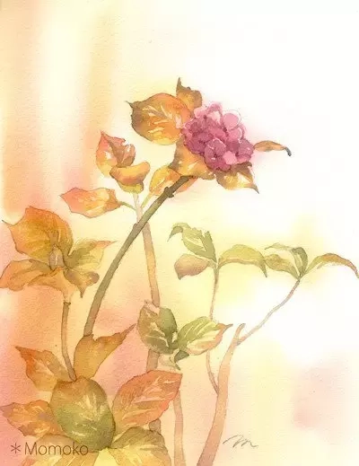 慢慢变老，最深的领悟(图3)