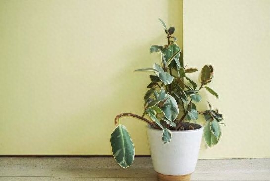 夜读｜走着走着，半生已过(图5)