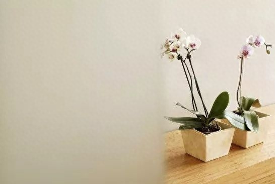 夜读｜走着走着，半生已过(图6)