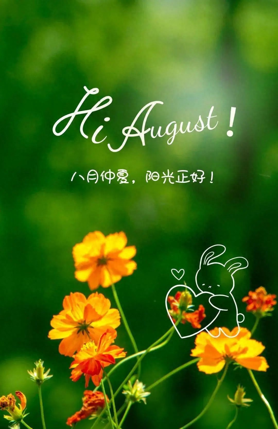 祝福是最美好的话语，愿八月的你，健健康康，幸福平安！(图1)