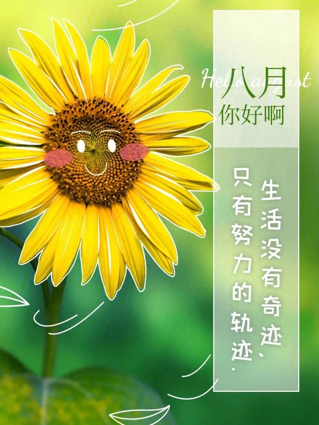 祝福是最美好的话语，愿八月的你，健健康康，幸福平安！(图7)