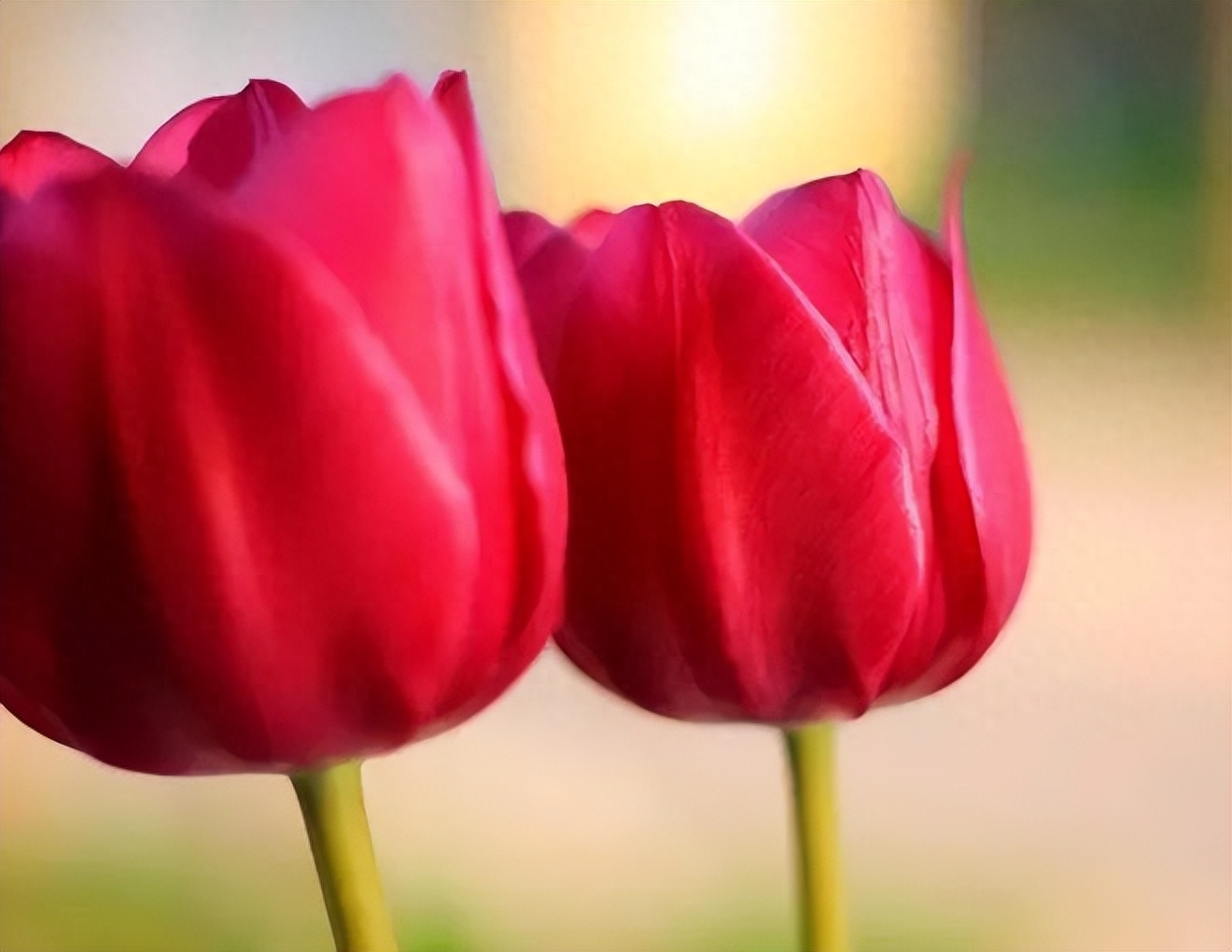 健康、平安、顺遂，就是最好的生活（原创）(图3)