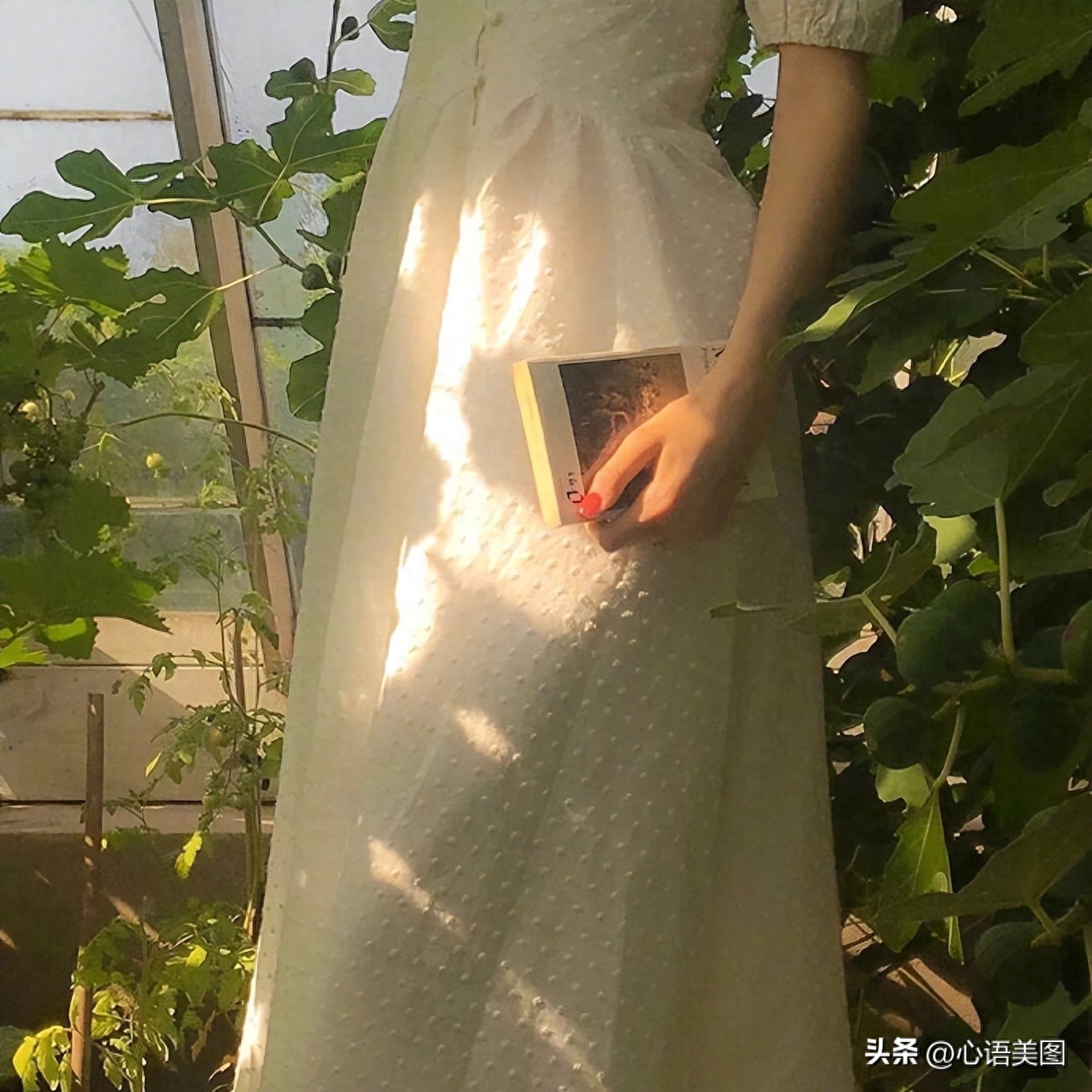 朋友圈抖音经典文案短句子：愿我们心存安暖，不惧岁月寒凉(图8)