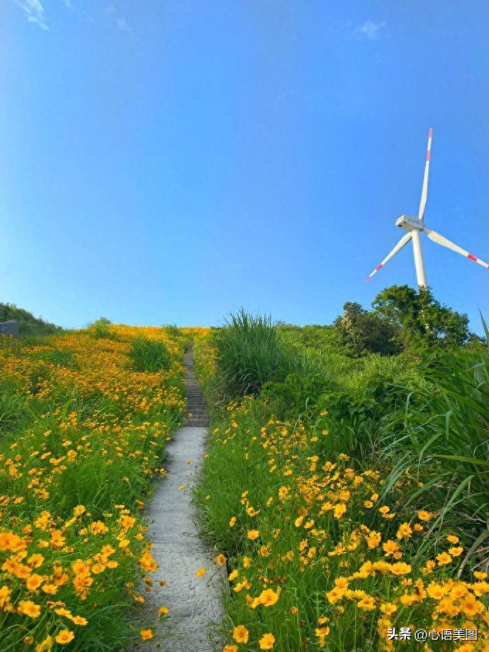 朋友圈抖音经典文案短句子：愿我们心存安暖，不惧岁月寒凉(图10)