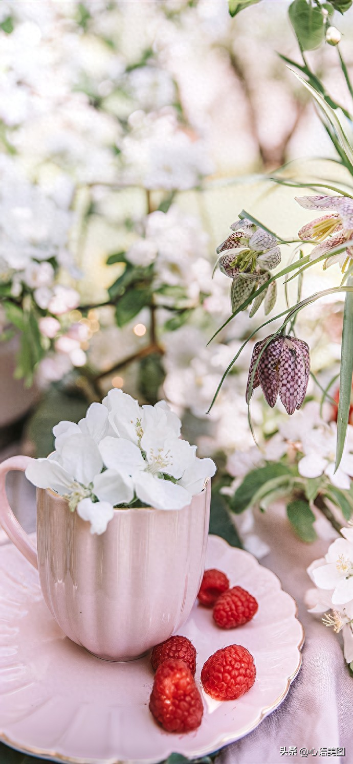 朋友圈抖音经典文案短句子：愿我们心存安暖，不惧岁月寒凉(图11)