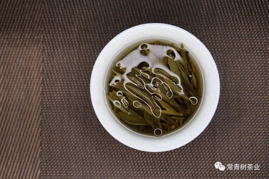 茶与人相通，这30条适合发朋友圈的茶文案，戳中你心声了吗？(图2)