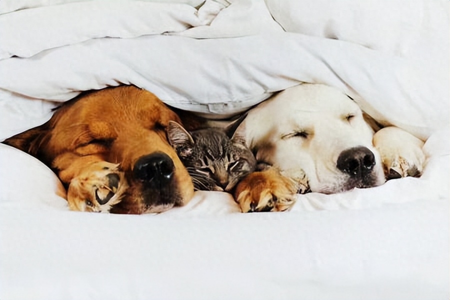 惊艳很久的高级文案短句(图1)