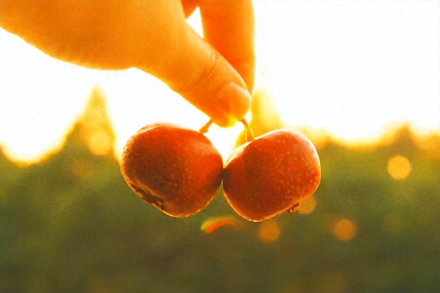 最近收藏的高赞朋友圈文案(图1)