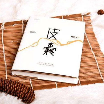 《皮囊》最经典10句话：字字珠玑，成年人的世界没有“容易”二字(图2)