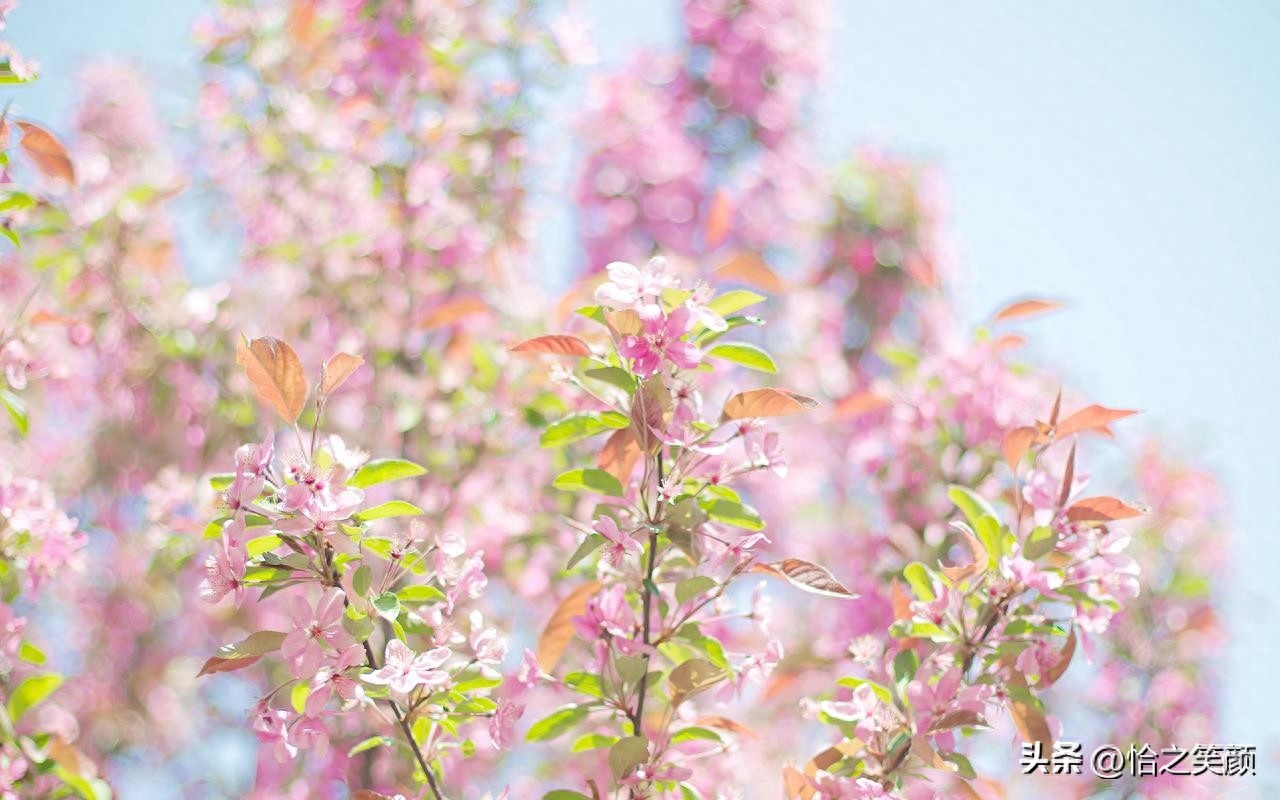 20句温柔高赞文案(图3)