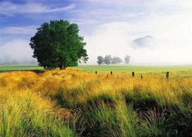 慎独慎行，是人生最珍贵的品德「句句精辟」(图4)