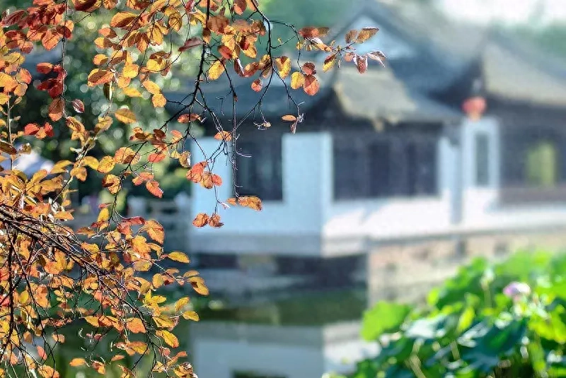 君子四不为，警世名言，句句经典！(图1)