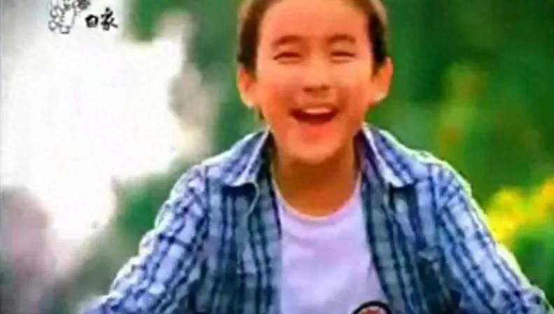 国产泡面之光，白象方便面广告文案(图4)