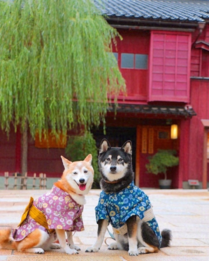 情侣空间秀恩爱的文案(图1)