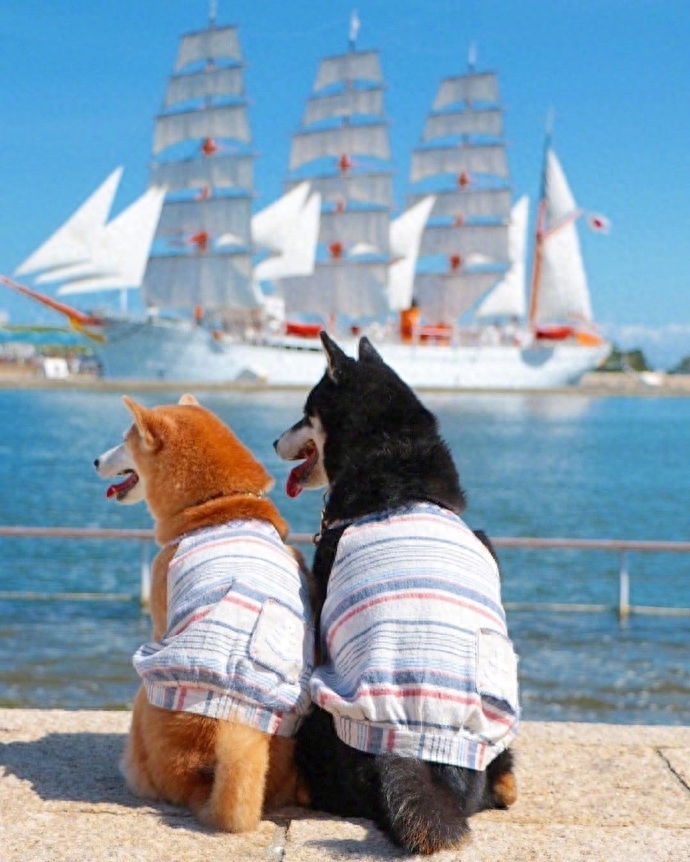 情侣空间秀恩爱的文案(图3)