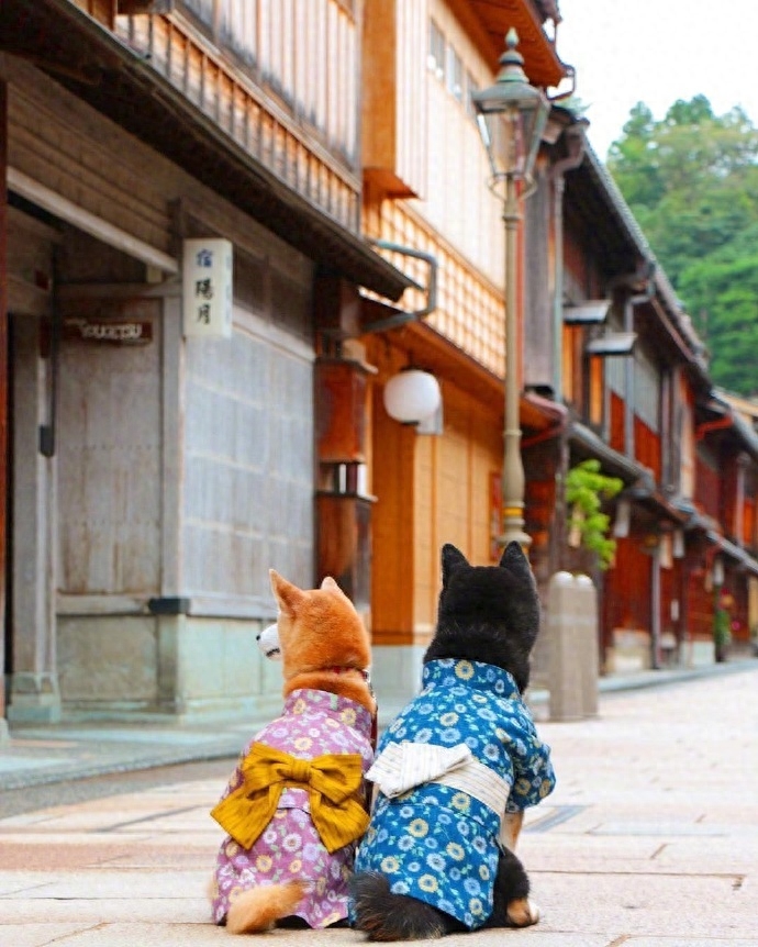 情侣空间秀恩爱的文案(图5)