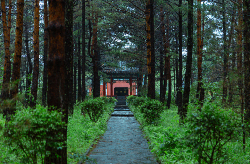 孔子有3句话最让人佩服！原来圣人是这样炼成的(图5)