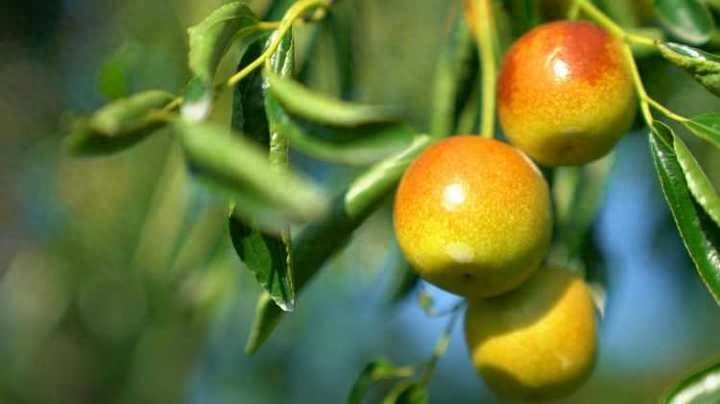 散文Ⅰ夜色下的小城(图4)