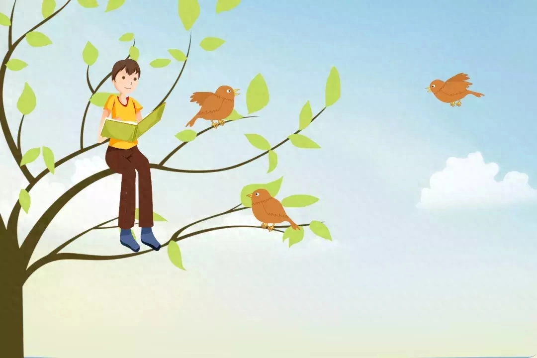 120个描写外貌的佳句和段落尽收囊中(图6)