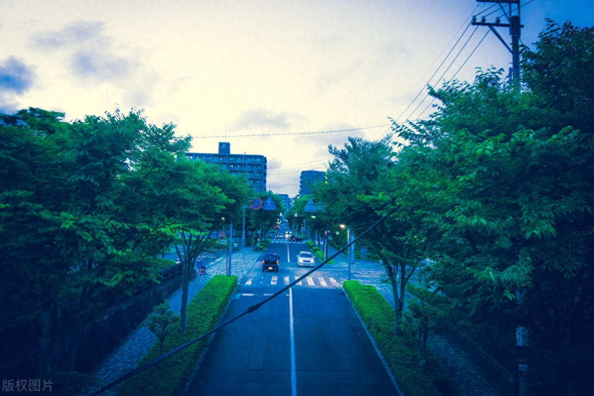 朋友圈感情文案（有你陪伴情感文案短句）(图2)