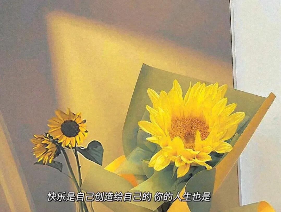 往后余生相伴的句子(图1)